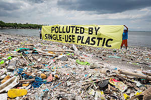 Freedom Island Waste Clean-up and Brand Audit in the Philippines