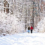 8 ideas for greener and more socially responsible gifting