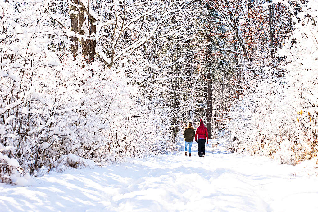 Premiere neige. ©Creative Common - Mark Bonica