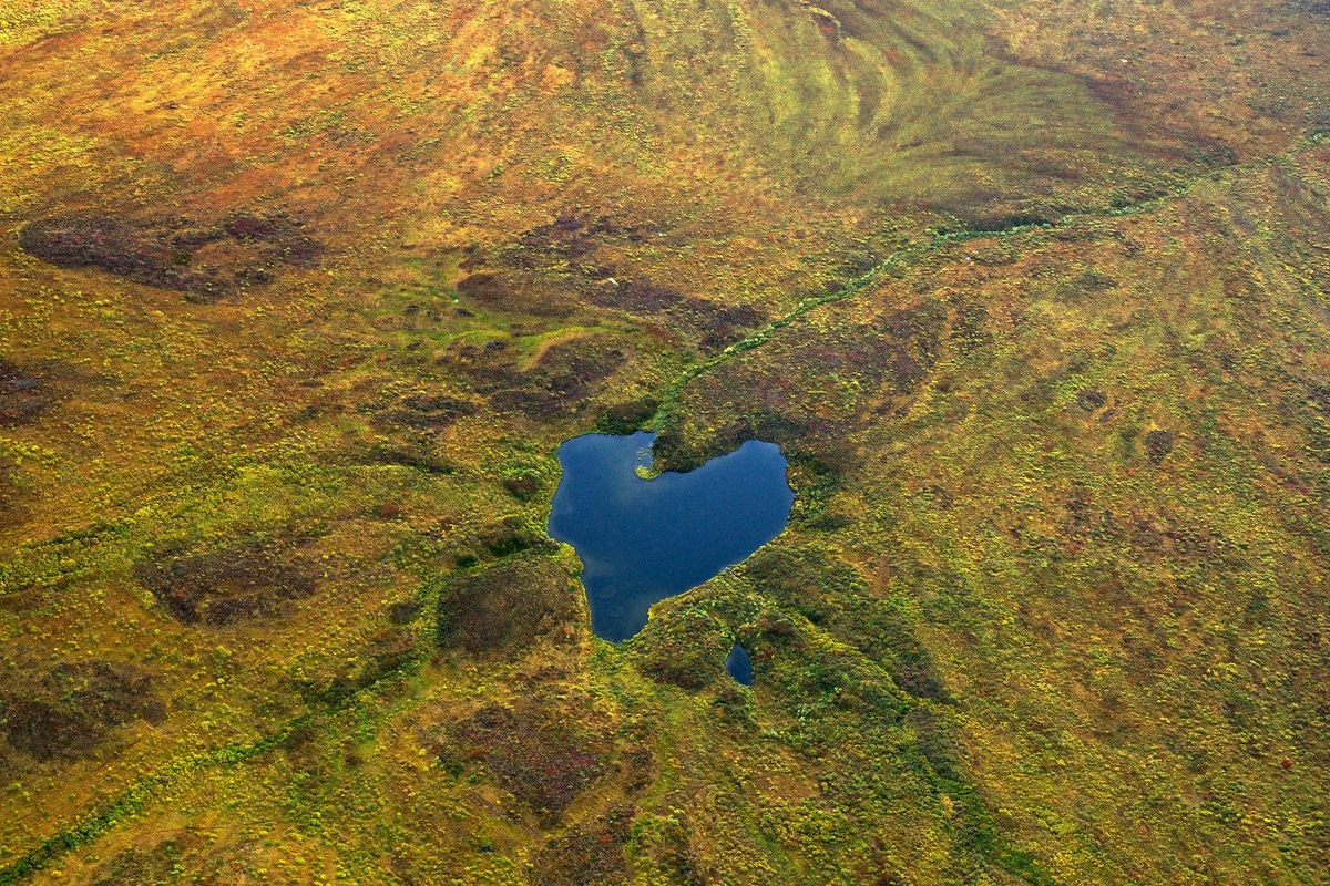 Tundra in Alaska. © Markus Mauthe