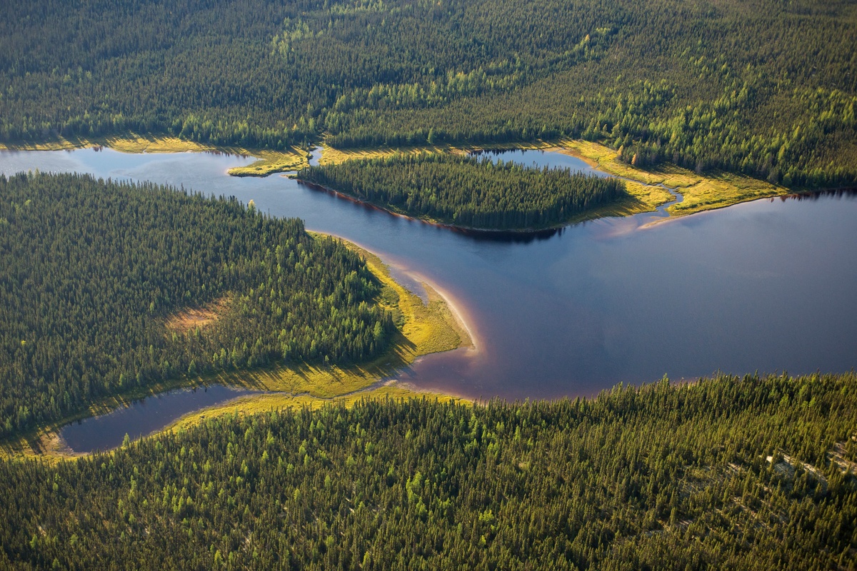 Boreal Forest - Montagnes Blanches, Quebec. © Markus Mauthe
