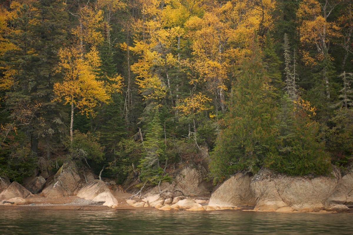 Boreal Forest on Slate Island in Ontario. © Markus Mauthe