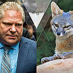 Doug Ford Petition