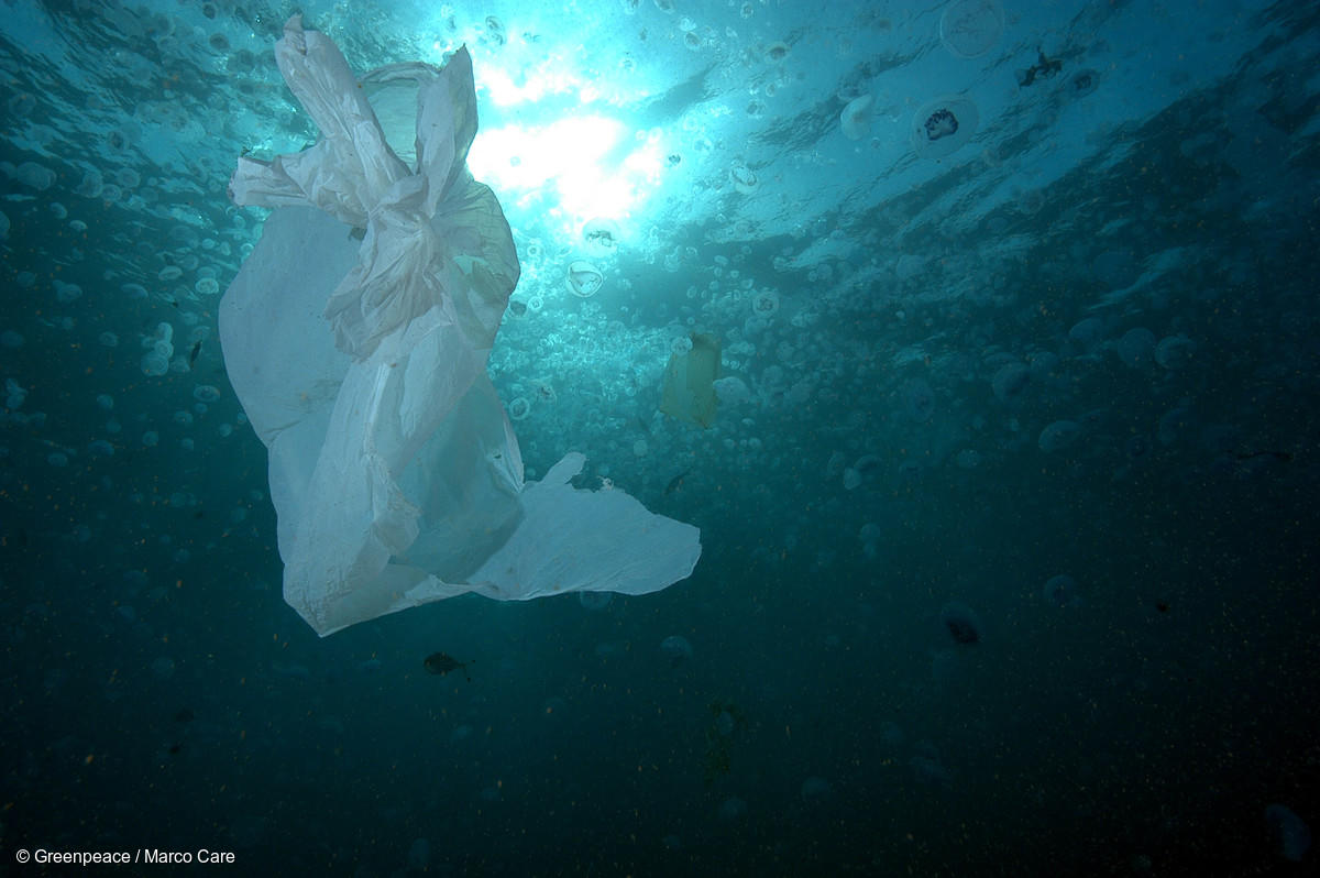 STATEMENT: Greenpeace horrified by whale’s death from plastic waste and deplores lack of international action to combat plastic pollution in oceans