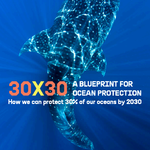 Thumbnail 30X30 Blueprint Ocean Protection