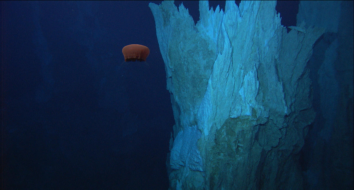 Vent Field in the Lost City, Atlantic Ocean. © NOAA/IFE/UW/URI-IAO