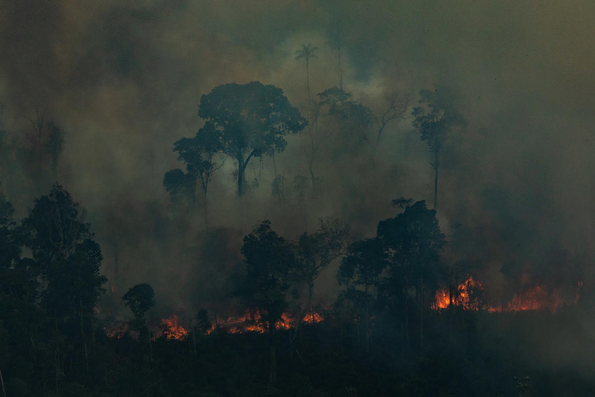 Forest Fires in Amazon - Second Overflight (2019). © Victor Moriyama / Greenpeace
