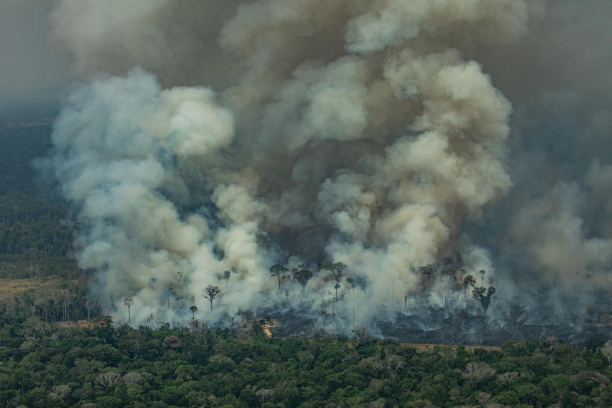 Forest Fires in Amazon - Second Overflight (2019). © Victor Moriyama / Greenpeace