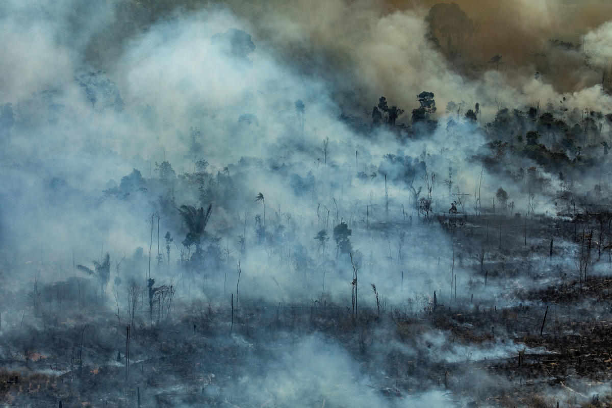 Forest Fires in Novo Progresso, Pará, Amazon (2019). © Victor Moriyama / Greenpeace