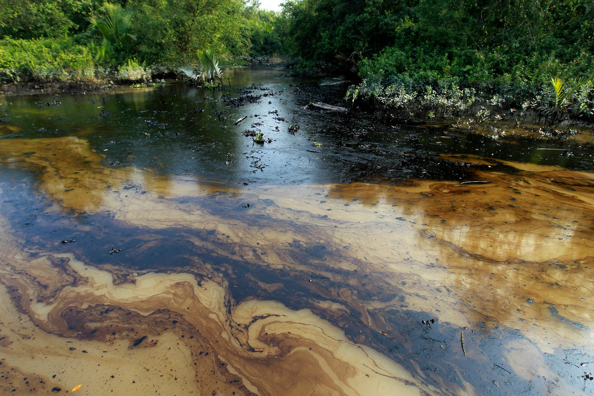 Oil Spill Aftermath in the Bangladesh Sundarbans. © Syed Zakir Hossain / Greenpeace