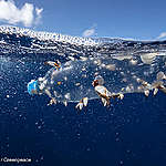 Canada’s new #ZeroPlasticWaste plan? That’s a hard no.