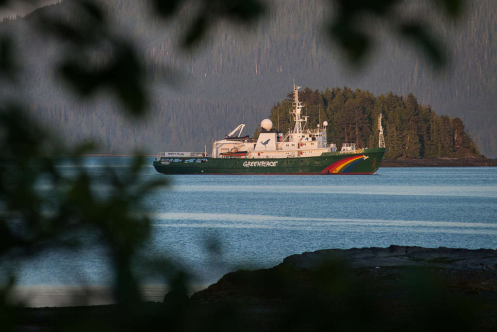 Esperanza - Haida Gwaii. © Greenpeace / Keri Coles