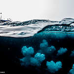No drilling for oil in marine refuges