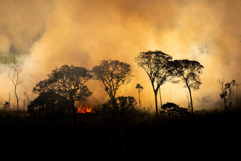 The burning Amazon The burning Amazon