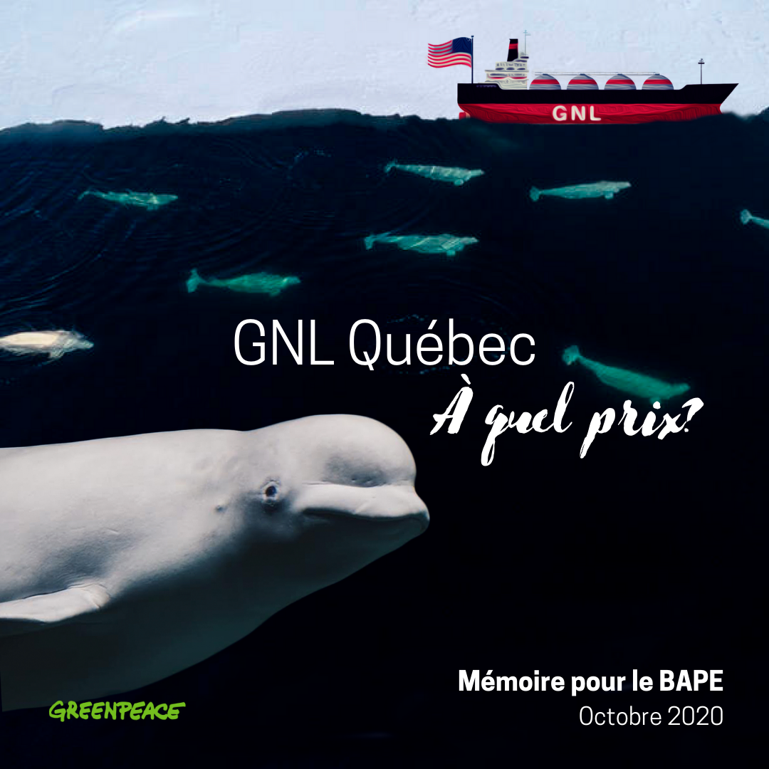 MÉMOIRE GNL QUÉBEC OCTOBRE 2020