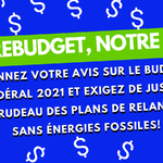 consultation pre budgetaire 2021