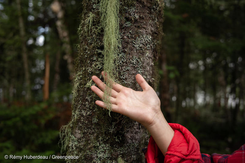 Reality check: Saving wildlife and biodiversity means saving ourselves
