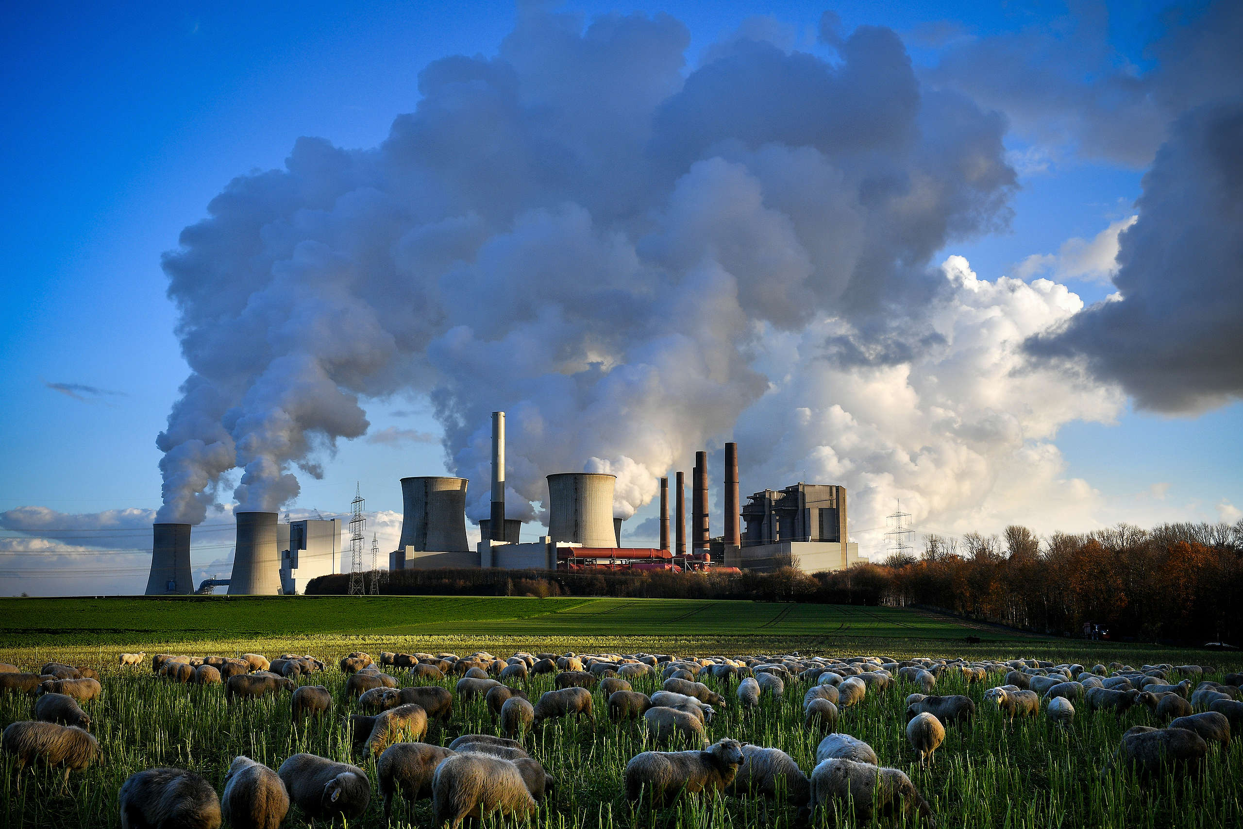 Greenpeace reacts to proposed new LNG project in Quebec