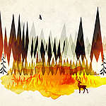 Dear Doug Ford — these wildfires are an EMERGENCY