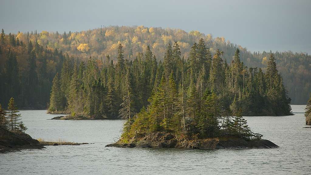 Boreal Forest on Slate Island in Ontario. © Markus Mauthe / Greenpeace