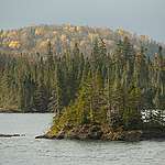 Boreal Forest on Slate Island in Ontario. © Markus Mauthe / Greenpeace