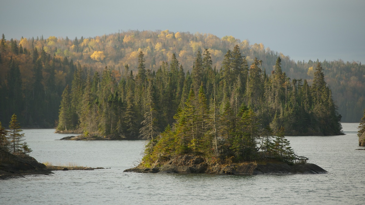 Boreal Forest on Slate Island in Ontario. © Markus Mauthe / Greenpeace