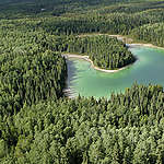 Boreal Forest in Canada