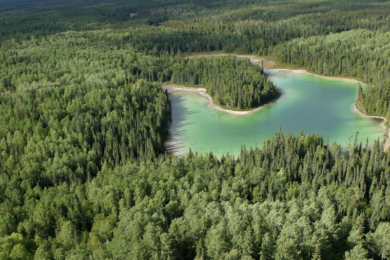 Boreal Forest in Canada