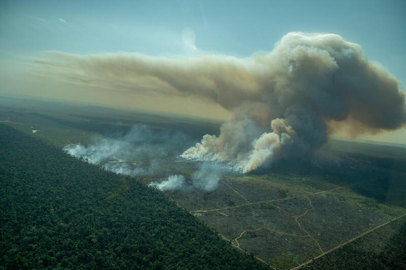 Fire in deforested area of a public forest in Porto Velho, Rondônia in the Amazon, Brazil