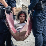 Fight for the Ancient Trees: Police Violence at Fairy Creek/Ada’itsx Blockades