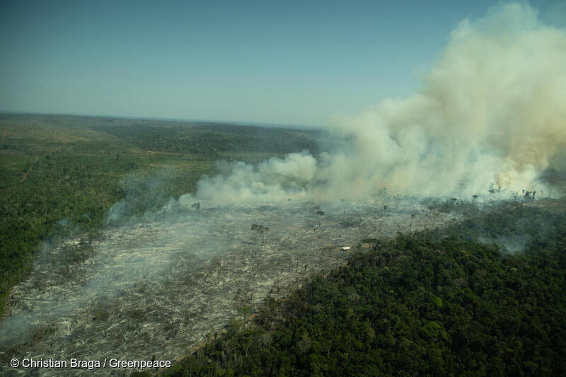 Recently deforested and burnt area in Porto Velho, Rondônia state.