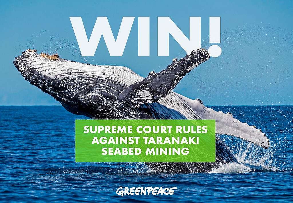 A photo of a whale breaching, and with the words "WIN! Supreme Court rules against Taranaki seabed mining" superimposed onto it.