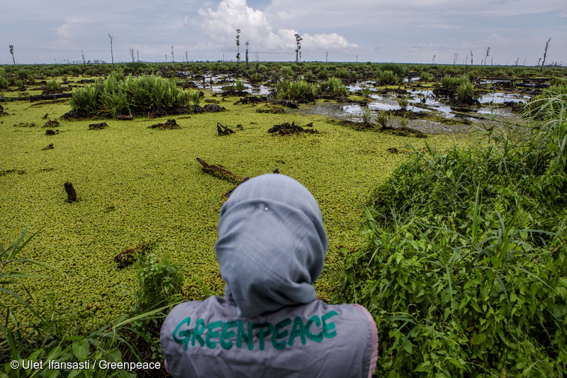 Canada completes the 1st round of negotiations with Indonesia, the largest palm oil producer