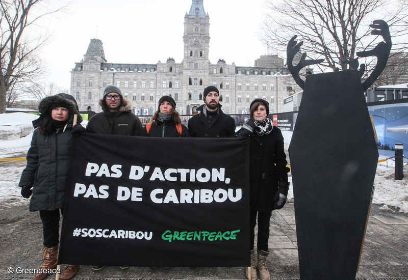 Les activistes de Greenpeace avec le drapeau "pas d'action, pas de caribou""