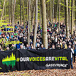 Greenpeace activists display signs and banners that read:“#OurVoicesAreVital“ in a forest near Werbellinsee in Brandenburg to show solidarity with Greenpeace Canada, Greenpeace USA and Greenpeace International.
