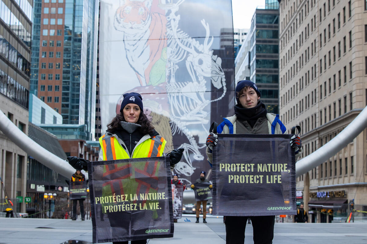 Global Environment Facility Assembly offers Canada a chance to build on COP15 success and turn nature pledges into reality