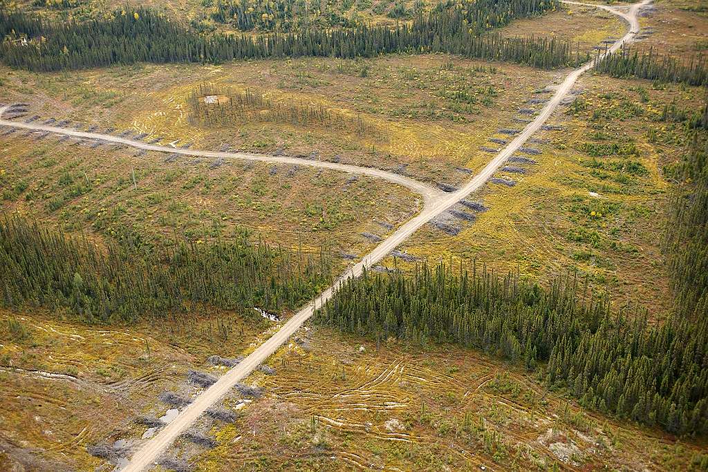 Logging in Quebec