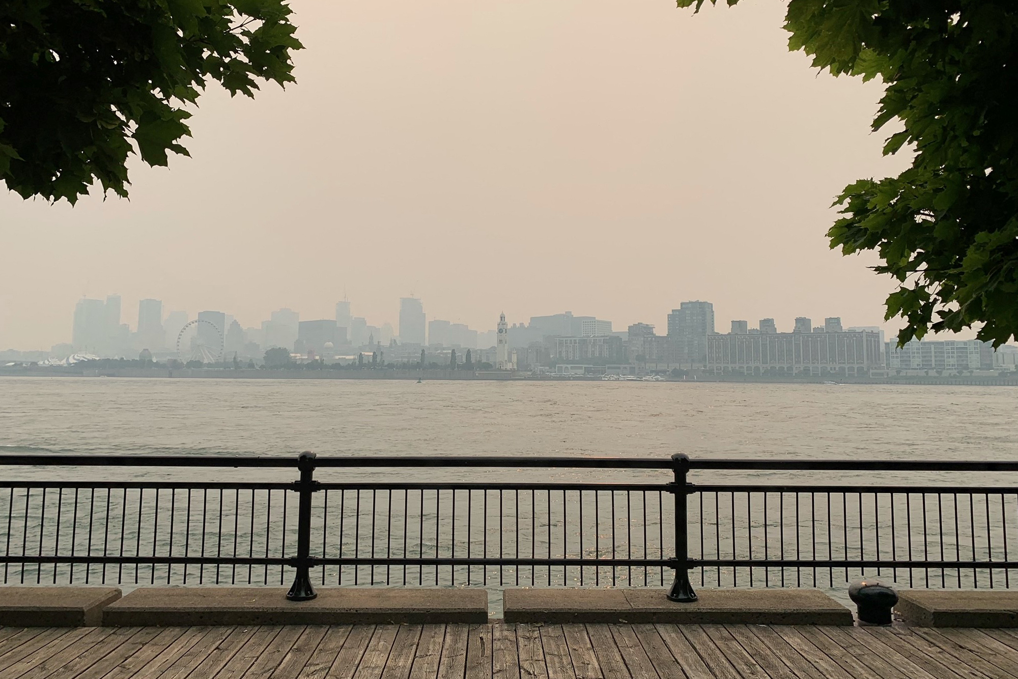 Smoke mirror: wildfires and climate (in)action