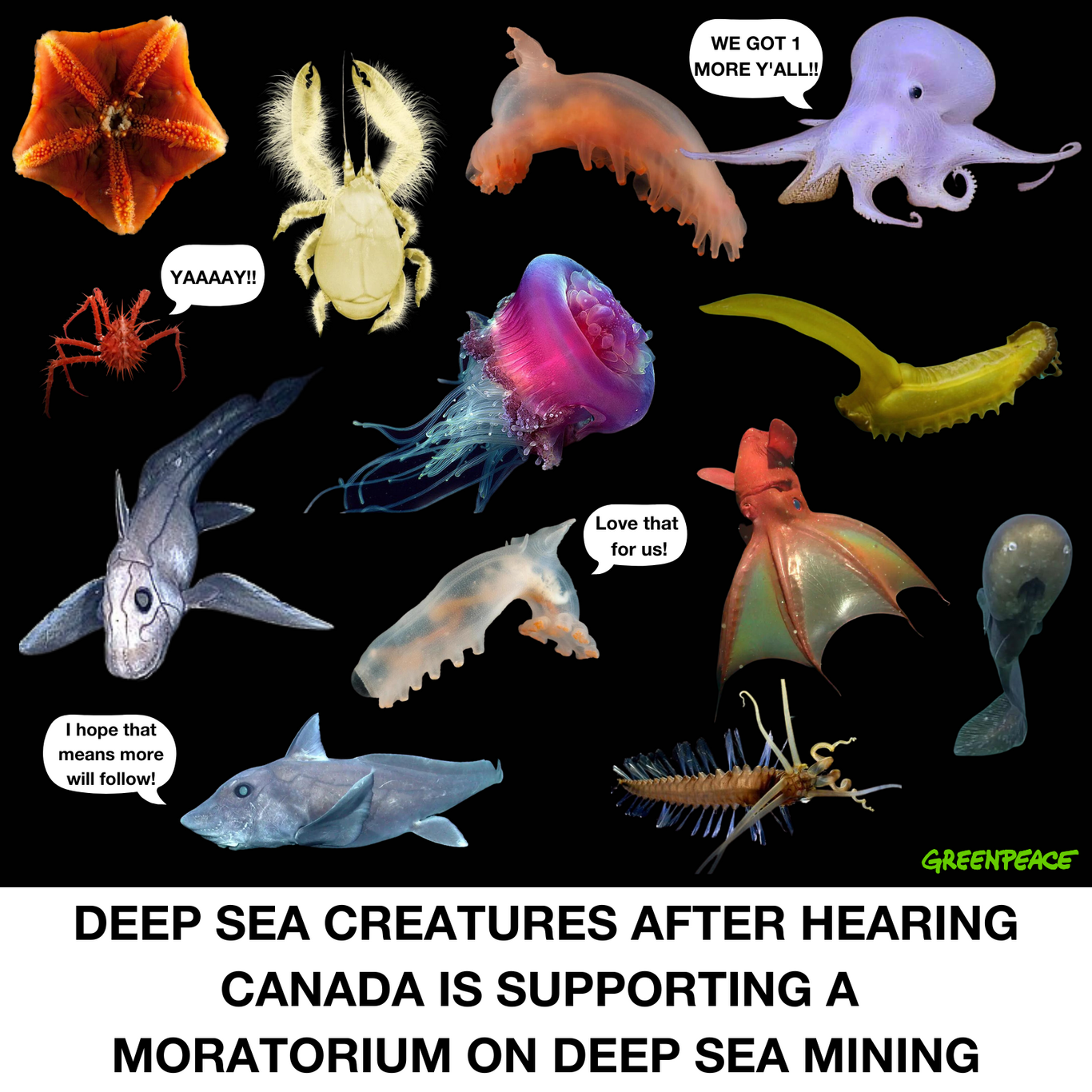 Why Canada’s support for a deep sea mining moratorium matters ...