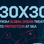 Shocking extent of threats to ocean health revealed in new Greenpeace report, calls for urgent protection using historic UN Ocean Treaty