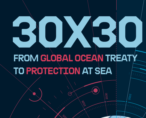 Shocking extent of threats to ocean health revealed in new Greenpeace report, calls for urgent protection using historic UN Ocean Treaty
