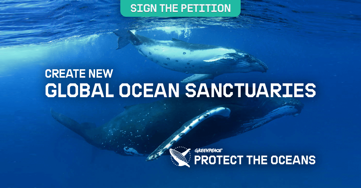 Create Global Ocean Sanctuaries Now