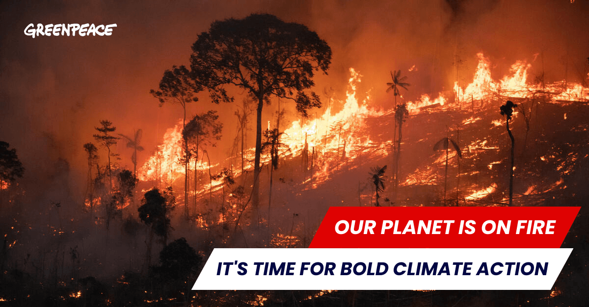 Our planet is on fire