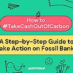 How to #TakeCashOutOfCarbon: A Step-by-Step Guide to Take Action on Fossil Banks