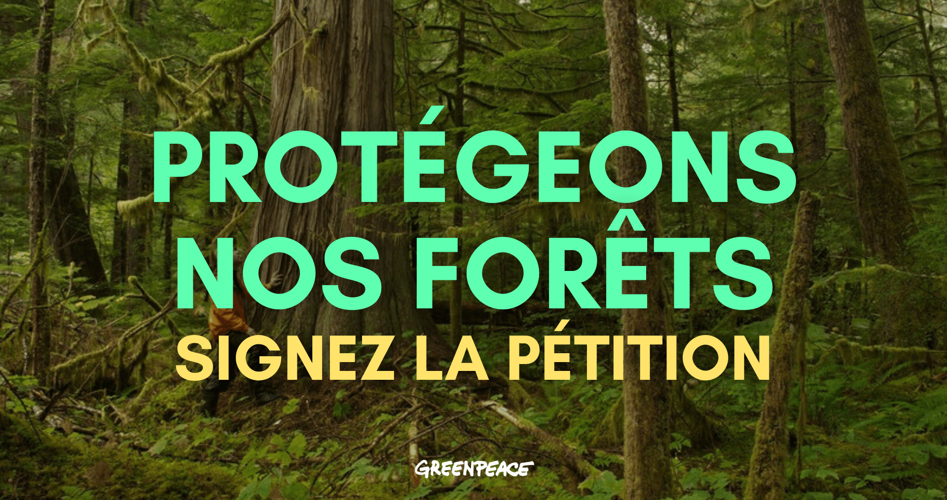 Protégeons nos forêts