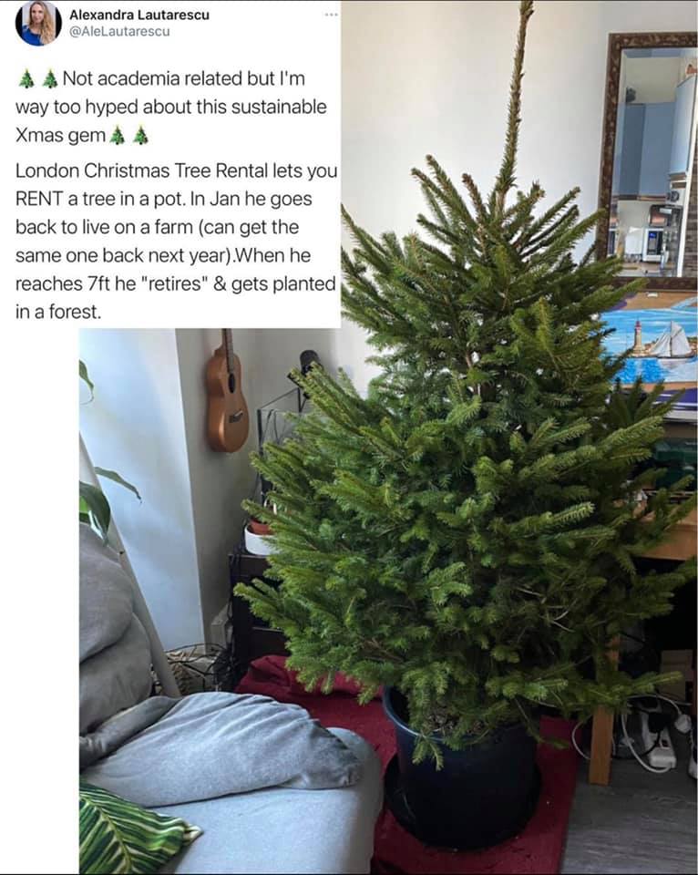 Faites une bonne action pour cette fin d'année en achetant un sac à sapin.  Une action solidaire et en plus il est BIO !..