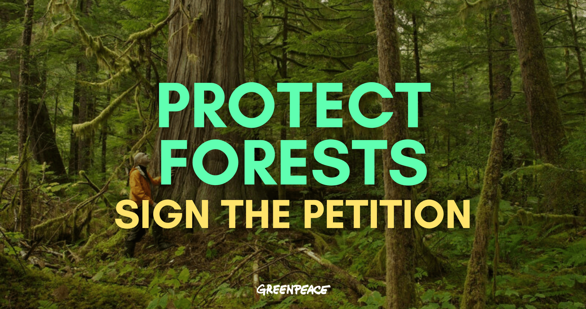 Protect Our Forests.