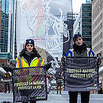 Banner at l'Anneau (COP15)