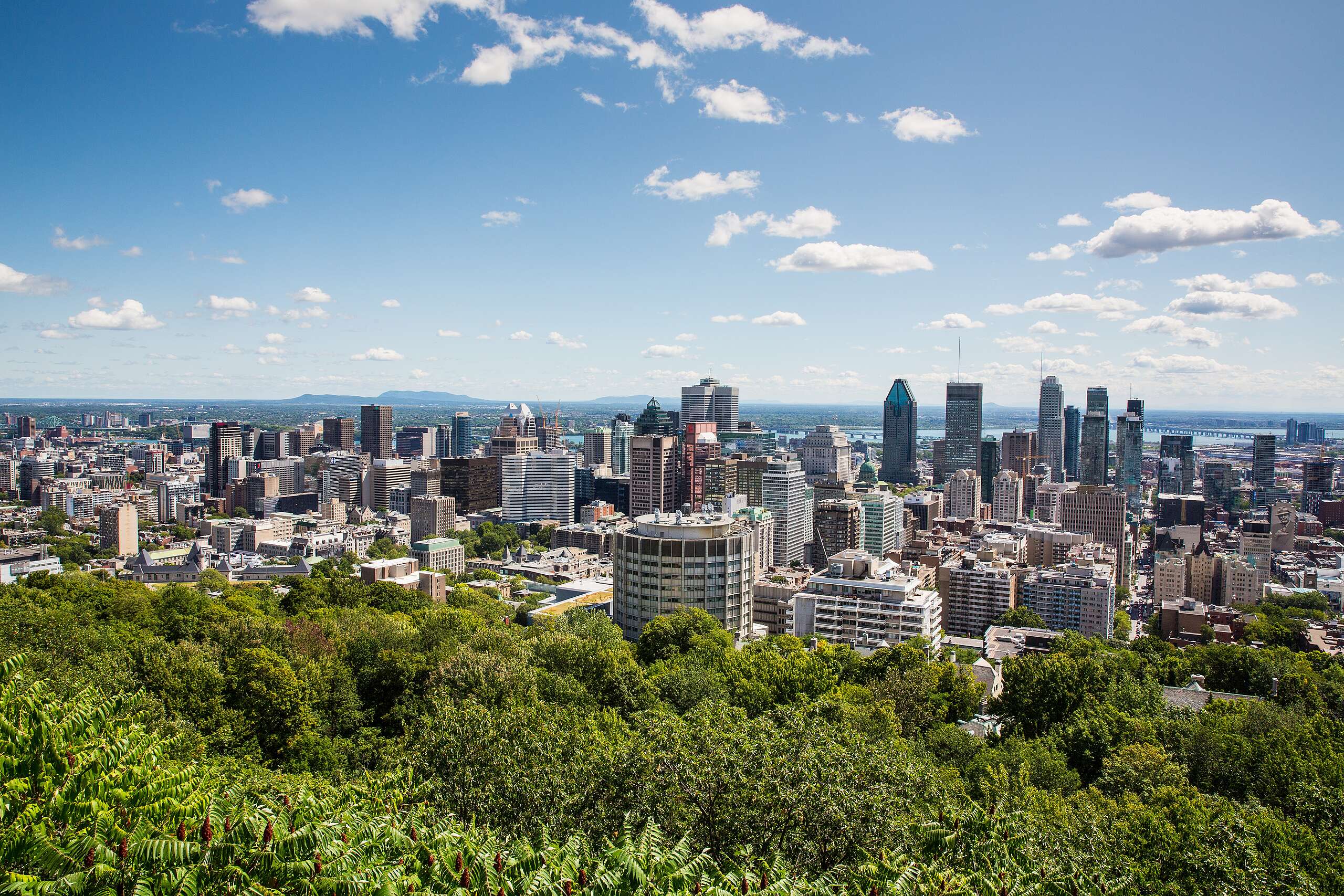 Recent victories: Montréal bans gas and other global wins!