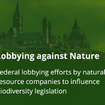 Lobbying against Nature: Greenpeace Canada investigation reveals united industry front pushing for offsets